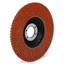 Ryobi - AG45062 - Abrasive Mop Disc for AG450, AG451